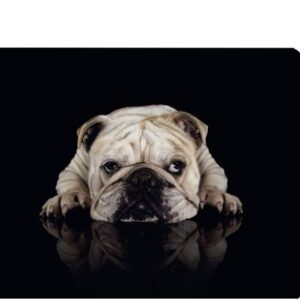 Nicokee Bulldog Gaming Mousepad Little Funny Dog Bulldog Mouse Pad Mouse Mat for Computer Desk Laptop Office 9.5 X 7.9 Inch Non-Slip Rubber